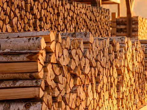 Смешанная партия дров в кузове перед разгрузкой
